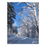 Foto pegajosa del ~ de la nieve 35