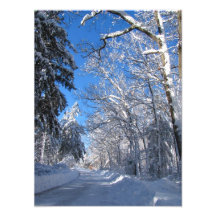 Foto pegajosa del ~ de la nieve 35