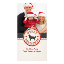 Foto retra del personalizado del golden retriever  tarjetas fotográficas 