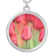 Foto roja de los tulipanes collares