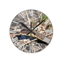 Foto septentrional de la fauna del reptil de la se relojes de pared