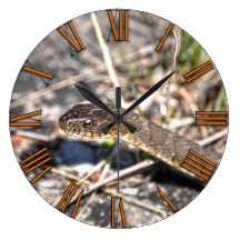 Foto septentrional de la fauna del reptil de la se reloj de pared