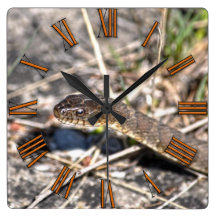 Foto septentrional de la fauna del reptil de la se relojes de pared