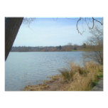 Foto verde del lago