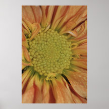 Foto vertical de la margarita amarilla en la impre poster