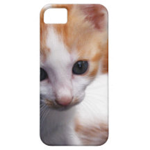 Fotografía anaranjada del gatito iPhone 5 Case-Mate funda