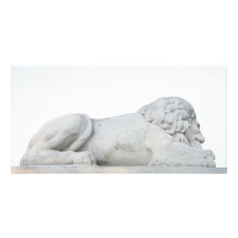 Fotografía blanca salvaje de la escultura de la es tarjetas fotograficas 