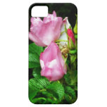 Fotografía color de rosa rosada iPhone 5 Case-Mate cobertura