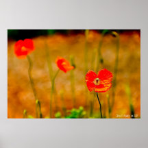 Fotografía de la bella arte de Fleur de Tres- Impresiones