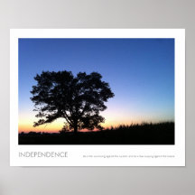 Fotografía de la naturaleza del árbol de la puesta posters