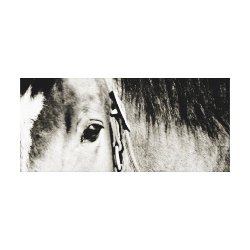 Fotografía del ojo del caballo impresiones en lienzo estiradas