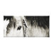 Frente