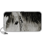 Fotografía del ojo del caballo notebook altavoces