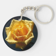 Fotografía del rosa amarillo contra fondo oscuro