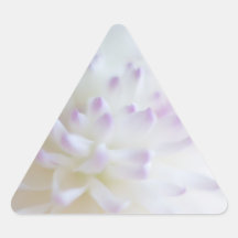 Fotografía en colores pastel suave de la flor calcomanías de triangulos