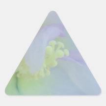Fotografía en colores pastel suave de la flor calcomania triangulo