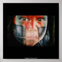 Fotografía, ilustraciones de la O.N.U Poster