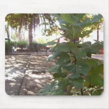 fotografía interesante tapetes de ratones