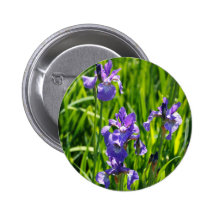 Fotografía púrpura salvaje de Digitaces del iris Pins