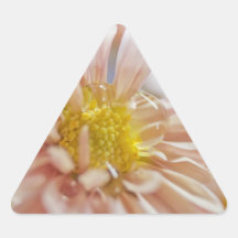 Fotografía suave del descenso de la flor y del agu colcomanias triangulo personalizadas