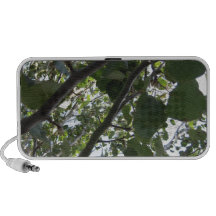 Fotografía verde del árbol altavoz de viajar