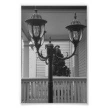 Fotografía Y7 4x6 blanco y negro de la letra del a