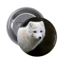 Fox ártico pins