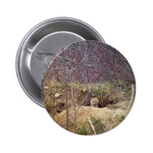 Fox de Maine Pins
