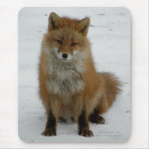 Fox rojo del Aleutian en la isla de Unalaska Alfombrillas De Ratón