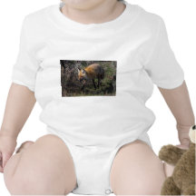 Fox rojo trajes de bebé