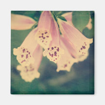 Foxglove Imán Para Frigorífico