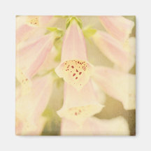 Foxglove Imán Para Frigorifico