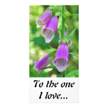 Foxgloves, al un amor de I… Tarjetas Fotográficas