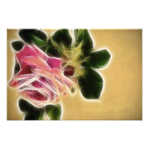 Fractal color de rosa de la foto
