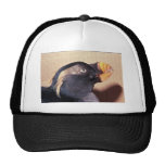 Frailecillo copetudo, no criando an o 80 002784 gorros bordados