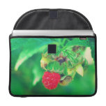 Frambuesa Funda Macbook Pro