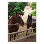Frambuesas del caballo felicitación