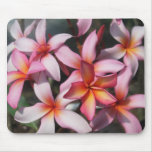 Frangipani del Plumeria que cubre Mousepad Tapete De Ratón