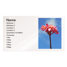 Frangipani hawaiano plantilla de tarjeta personal