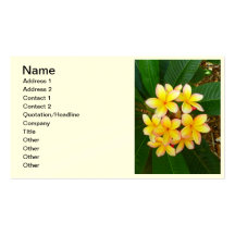Frangipani hawaiano plantillas de tarjetas personales