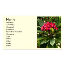 Frangipani hawaiano plantilla de tarjeta de negocio