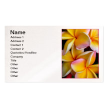 Frangipani hawaiano plantillas de tarjeta de negocio