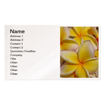 Frangipani hawaiano tarjeta de negocio