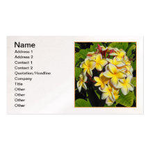 Frangipani hawaiano tarjetas personales