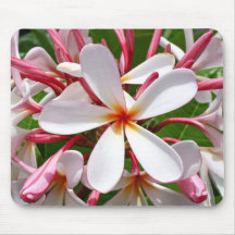 Frangipani (Plumeria) Mousepad Tapetes De Raton