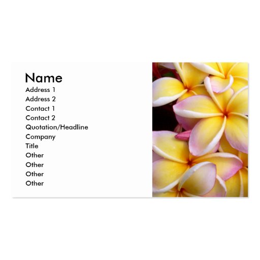 Frangipani - Plumeria Tarjeta De Visita