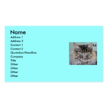 Franny el gato plantilla de tarjeta de negocio