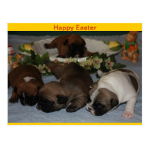 Französische Bulldoggen Grußkarte Ostern Postkarte