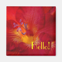¡Freesia hola! Imán