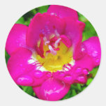 Freesia rosado pegatinas  